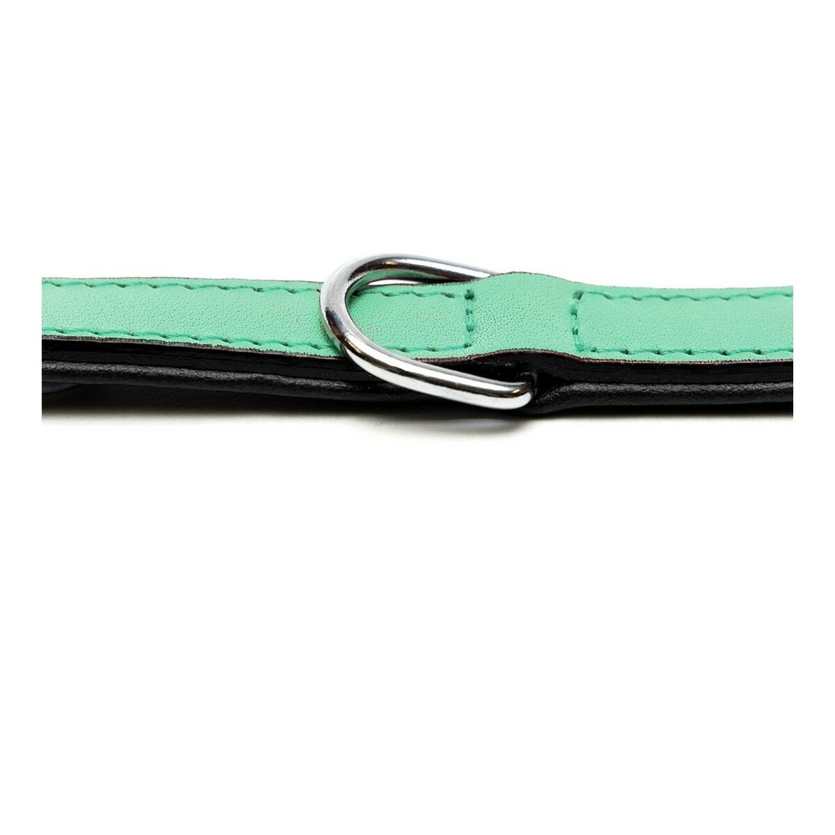 Coleira para Cães Gloria Acolchoado Verde (30 x 1,5 cm)